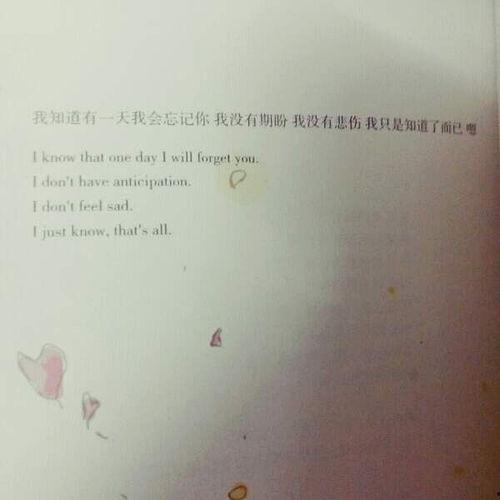 热门话题爱是什么意思,揭开情感世界的神秘面纱