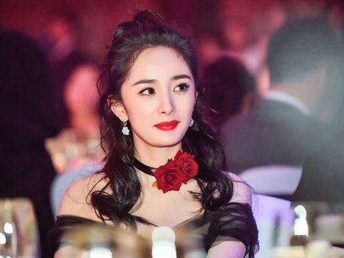 明星网红的节目有哪些,热门内容与精彩瞬间