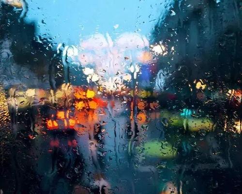 下雨天视频夜景热门话题