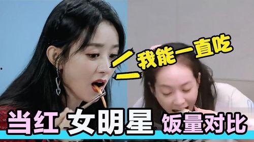 明星网红差距在哪里看,差距背后的多维解析