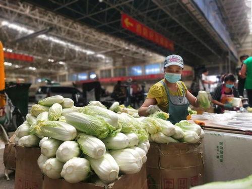 万邦哈密瓜批发市场今日价格,价格波动与市场动态一览