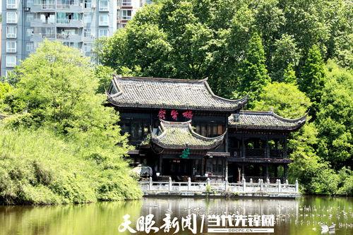 热门话题深圳休闲好地方,悠然自得，乐享都市时光