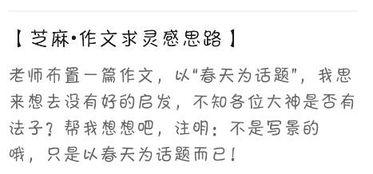 关于春天的热门话题作文,探寻春天的魅力与生机