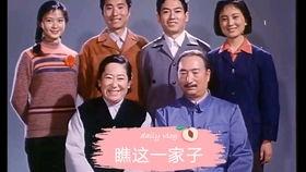 瞧这一家子电影,温馨家庭喜剧的欢乐篇章