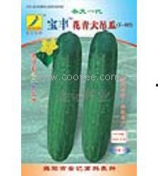 郑州万邦吊秧瓜今日报价,行情稳中向好