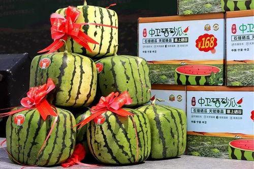 今日万邦硒砂瓜价格表,今日市场行情一览