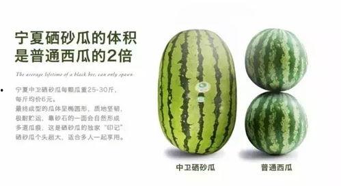 今日万邦硒砂瓜价格表,今日市场行情一览