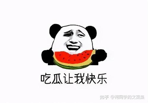 河北今日吃瓜最新消息是真的吗,最新消息真实性揭秘