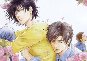 耽美动漫电影,探索动漫电影中的浪漫世界