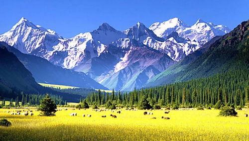 热门话题武功山之旅在哪,探寻自然奇观与武侠文化的完美融合