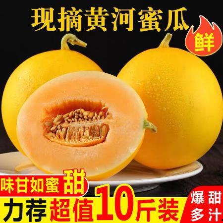 金红宝蜜瓜今日多少钱一斤,价格几何，甜蜜来袭！”