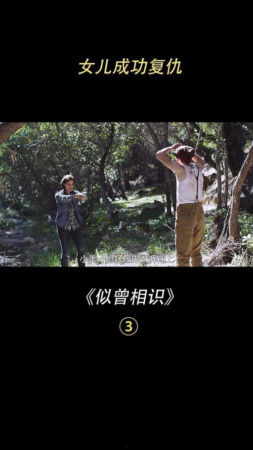 报仇电影,电影中的复仇故事解析